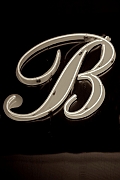 Wall_Art_Alphabet_Photography_Art_ 291